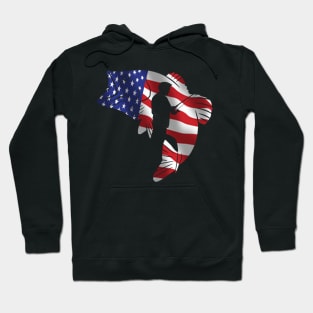 american shirt, fishing shirt, flag american, gift Hoodie